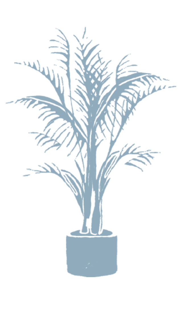 Illustration av en krukväxt